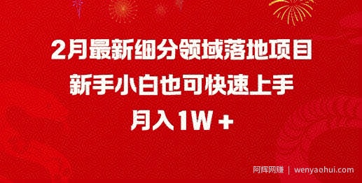2月最新细分领域落地项目，新手小白也可快速上手，月入1W
