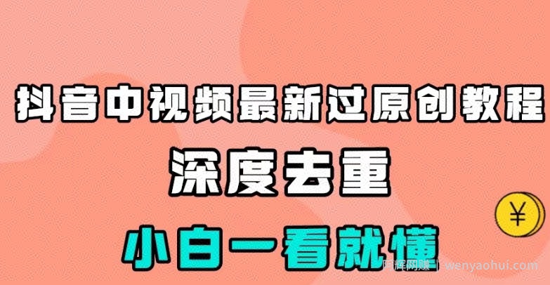抖音中视频最新过原创教程,深度去重,小白一看就懂【揭秘】
