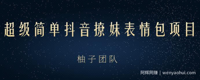 超级简单抖音撩妹表情包项目，在家玩手机就能月入10000+【视频课程】