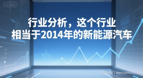 付费文章：行业分析，这个行业，相当于2014年的新能源汽车