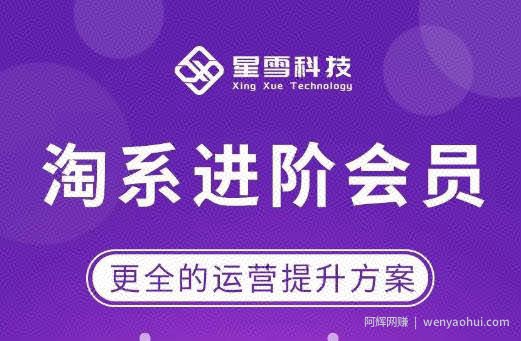 星雪·淘系进阶课程，快速提升突破技能流量瓶颈必备（更新2023年5月）
