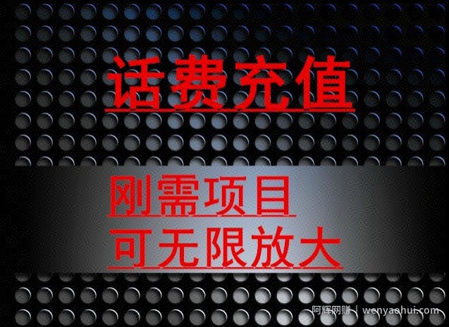 最新蓝海项目，刚需赛道，95折充话费月入5位数