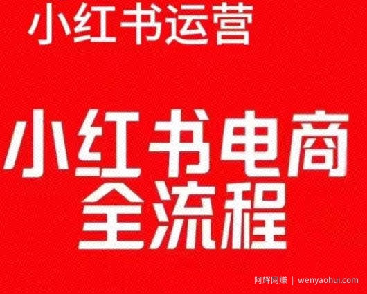 红薯电商实操课，小红书电商全流程