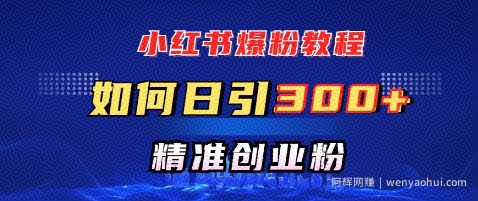小红书爆粉教程，如何日引300+创业粉，快速实现精准变现