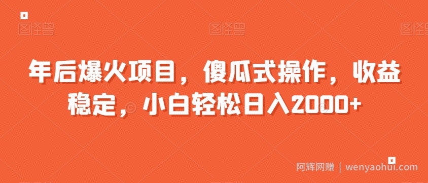 年后爆火项目，傻瓜式操作，收益稳定，小白轻松日入2000+