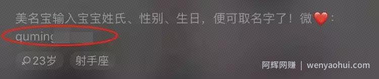 宝宝起名，人人可操作 永不过时的网创项目