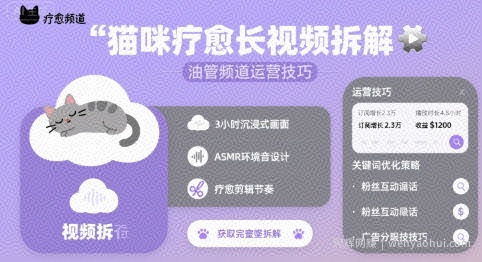猫咪疗愈长视频拆解 &油管频道运营技巧