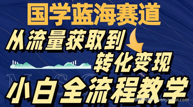 国学蓝海赛道，从流量获取，到转化变现，全流程教学