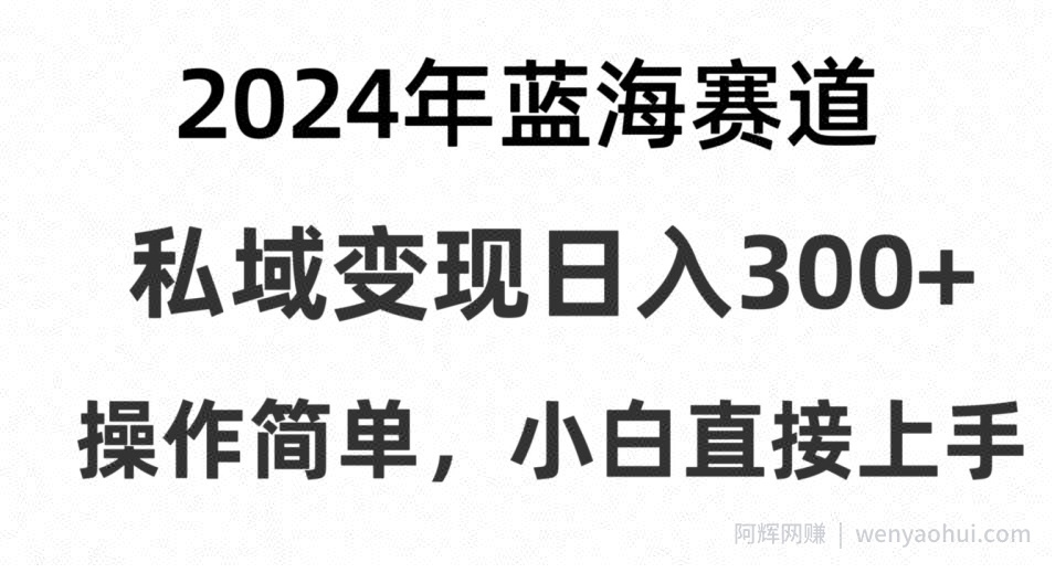 2024抖音蓝海赛道，私域变现日入300+，操作简单，每年只需一小时，纯小白可直接上手