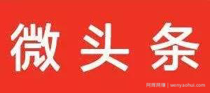 新的賺米机会,微头条带货值得操作
