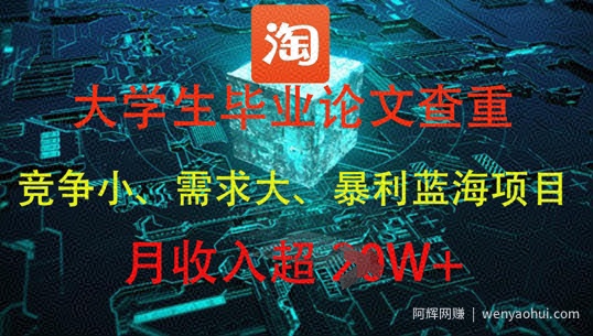 大学生毕业论文查重，暴利蓝海项目，月收入过1W+