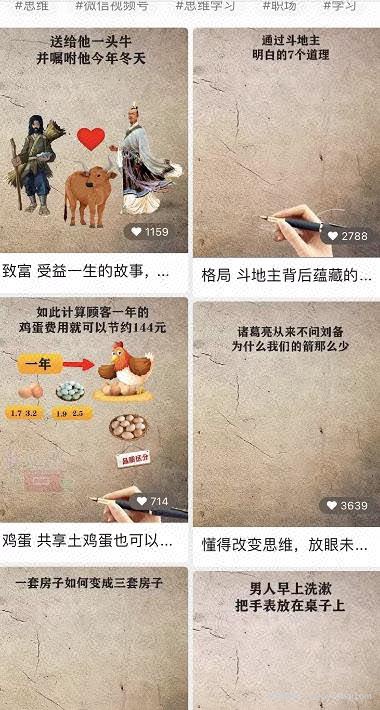 月入过万的视频号网络賺米项目解析！