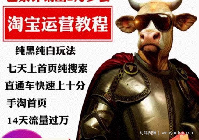 猫老师·淘系算法逆向解密，​纯黑纯白玩法，七天上首页纯搜索，手淘首页14天流量过万
