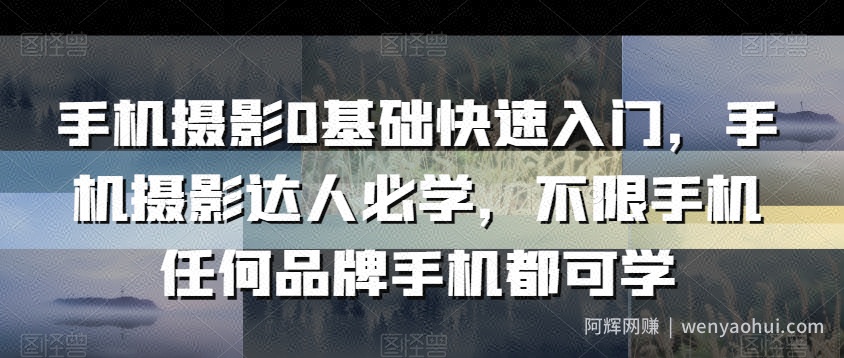 手机摄影0基础快速入门，手机摄影达人必学，不限手机任何品牌手机都可学
