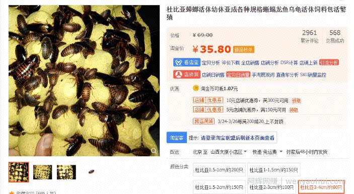 靠卖蟑螂药年赚几百万，自媒体电商应当如此！