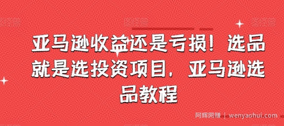 亚马逊收益还是亏损！选品就是选投入项目，亚马逊选品教程