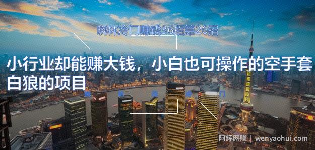 晓林冷门賺米36招第26招小行业却能赚大钱，小白也可操作的空手套白狼的项目【视频课程】