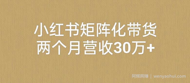 小红书矩阵化带货，两个月营收30万+