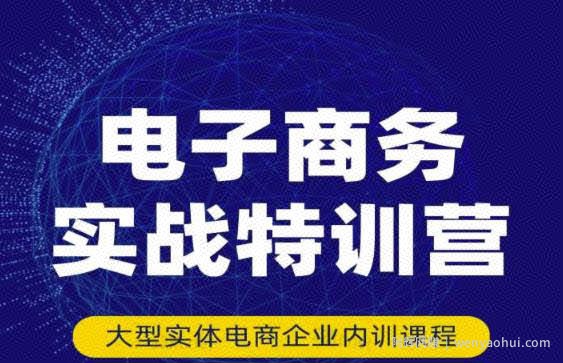 民赛电气内部出品：电子商务实战特训营，全方位带你入门电商，308种方式玩转电商