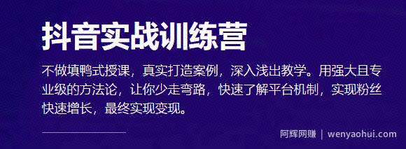 新片场抖音实战训练营：0基础快速上手玩转抖音，快手涨粉，实现变现！