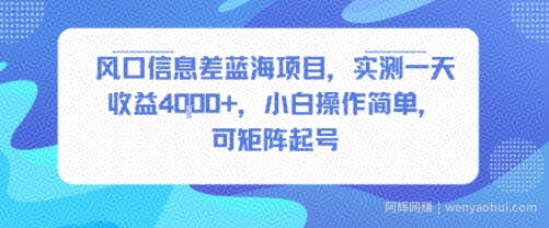 风口信息差蓝海项目，实测一天收益4k+，小白操作简单，可矩阵起号