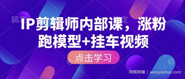 IP剪辑师内部课，涨粉跑模型+挂车视频（更新）