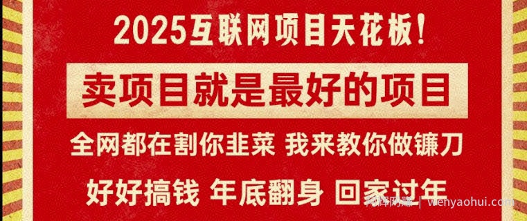 卖项目就是最好的项目，2025年互联网项目天花板