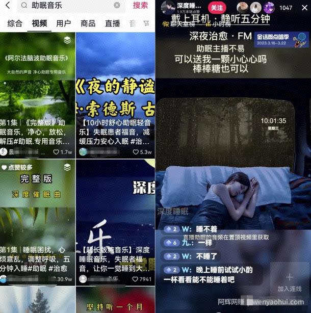 抖音蓝海刚需赛道副业思路，助眠音乐号变现，0基础也能轻松操作！