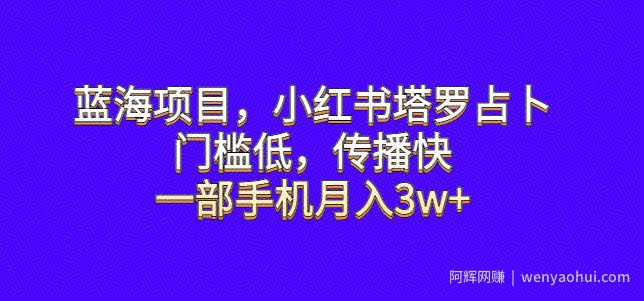 蓝海项目，小红书塔罗占卜，门槛低，传播快，一部手机月入3w+【揭秘】