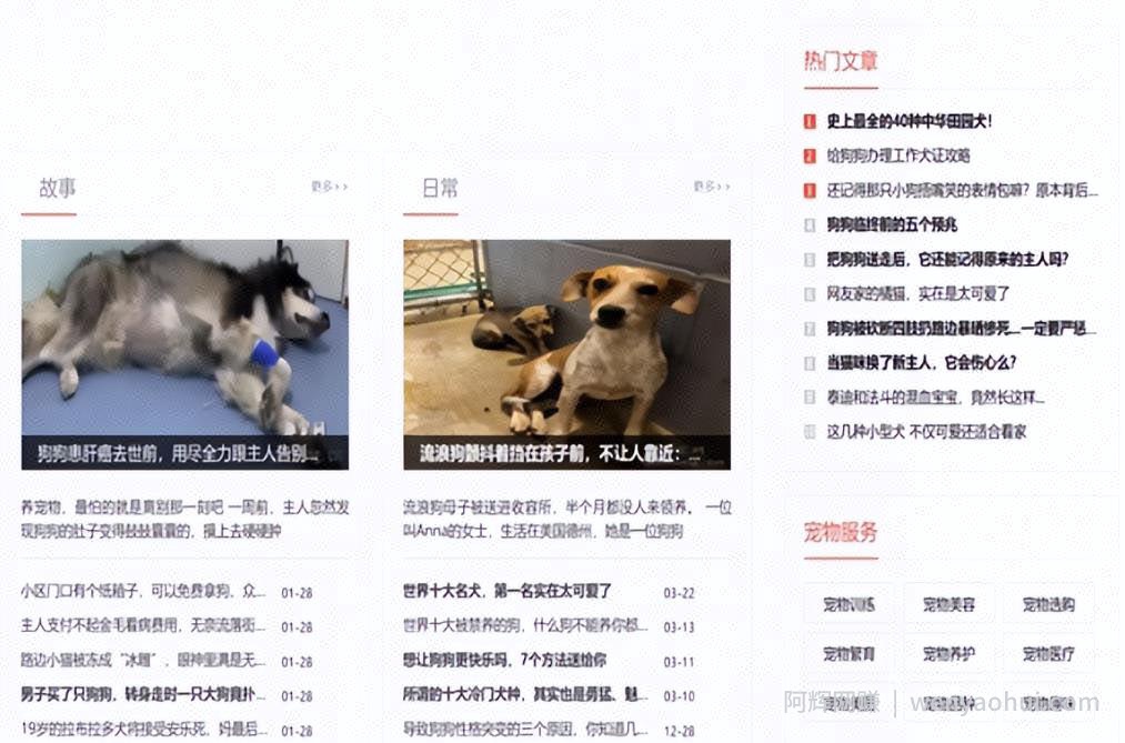 宠物号月挣10W+副业项目思维，适合新手矩阵放大，无偿分享给有缘人！