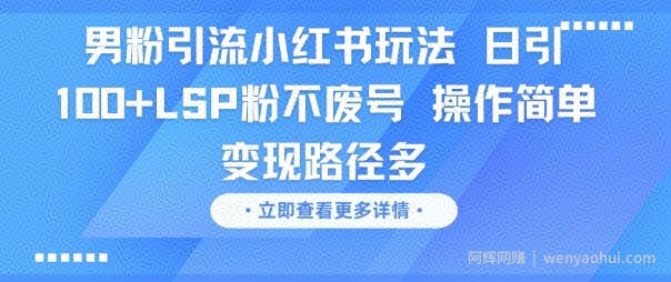 男粉引流小红书玩法，日引100+LSP粉不废号，操作简单，变现路径多