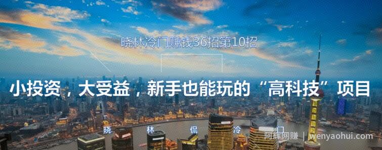 晓林冷门賺米36招第10招小投入，大受益，新手也能玩的“高科技”项目【视频课程】