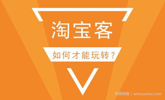 超强实操性小项目！淘客的另类玩法，店铺淘客另类玩法