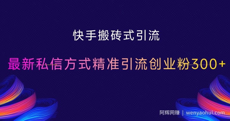 快手搬砖式引流，最新私信方式精准引流创业粉300+