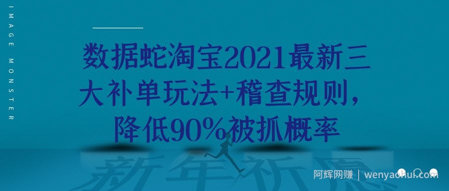 数据蛇淘宝2021最新三大补单玩法+稽查规则，降低90%被抓概率