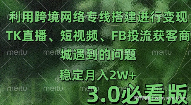 利用跨境电商网络及搭建TK直播、短视频、FB投流获客以及商城遇到的问题进行变现3.0必看版【揭秘】