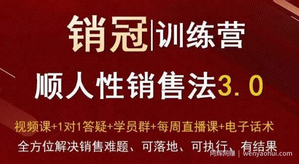 爆款！销冠训练营3.0之顺人性销售法，全方位解决销售难题、可落地、可执行、有结果