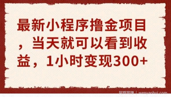 最新小程序撸金项目，当天就可以看到收益，1小时变现300+【揭秘】