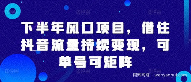 下半年风口项目，借住抖音流量持续变现，可单号可矩阵