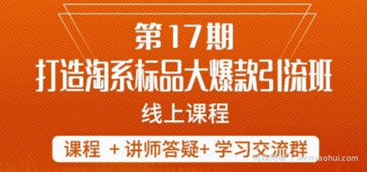 南掌柜-第17期打造淘系标品大爆款，5天线上课