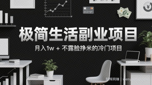 极简生活副业项目，月入1w+不露脸挣米的冷门项目