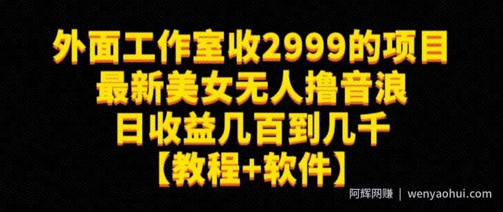 外面工作室收2999的项目最新美女无人撸音浪日收益几百到几千【教程+软件】（仅揭秘）
