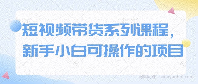 短视频带货系列课程，新手小白可操作的项目
