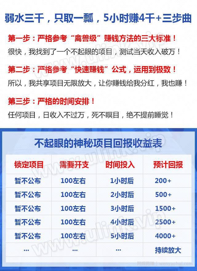 「网创骗局揭秘」最刺激的文案，最简单的賺米方式，大坑啊！千万小心