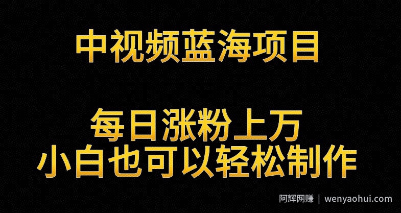 中视频蓝海项目，解读英雄人物生平，每日涨粉上万，小白也可以轻松制作，月入过万不是梦【揭秘】
