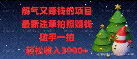 解气又挣钱的项目，最新违章拍照挣钱，随手一拍，轻松收入多张【揭秘】