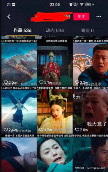 抖音賺米项目汇总，零基础也能操作，总有一个你能做的。