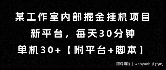 某工作室内部掘金挂G项目，新平台，每天30分钟，单机30+【揭秘】