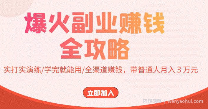 爆火副业賺米全攻略：实打实演练/学完就能用/全渠道賺米，带普通人月入３万元！
