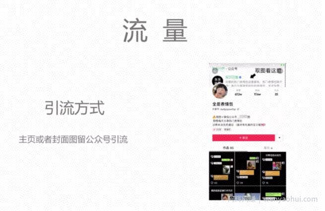 抖音表情包賺米项目拆解，细分领域的賺米机会
